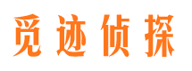 黄骅外遇出轨调查取证